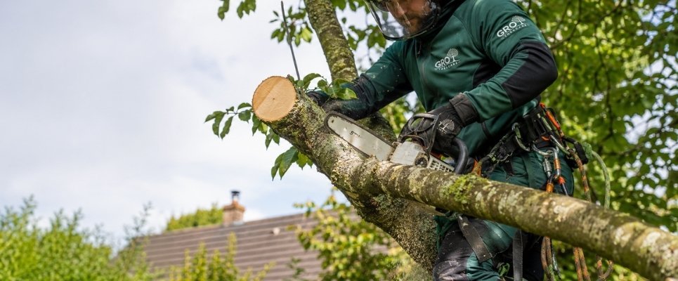 Get a Free Quote From GRO Treecare for Tree Surgery in Wallasey