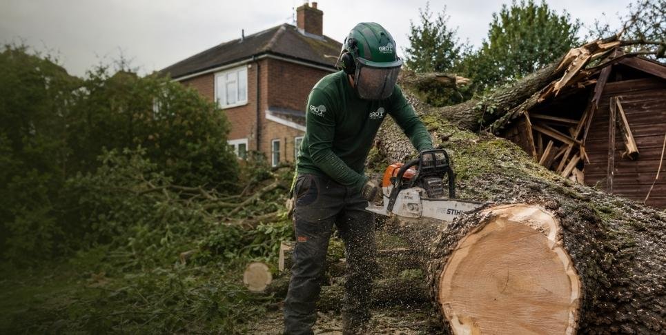 Certified Arborists with the Specialist Skills to Work Safely at Height