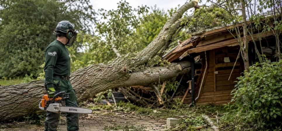 GRO Treecare Works with Councils, Highways Teams, and Utilities When Required