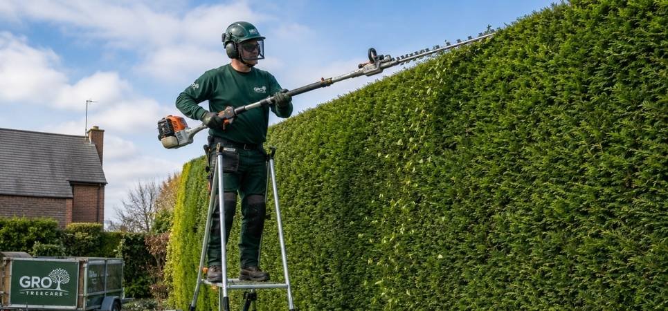Get a Free Quote for Your Hedge Trimming Service in Frodsham From GRO Treecare