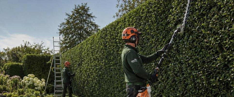 Hedge Removal in Frodsham When Trimming Is No Longer Enough
