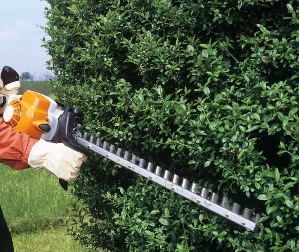 How Hedge Pruning Improves the Health and Overall Appearance of Your Hedge