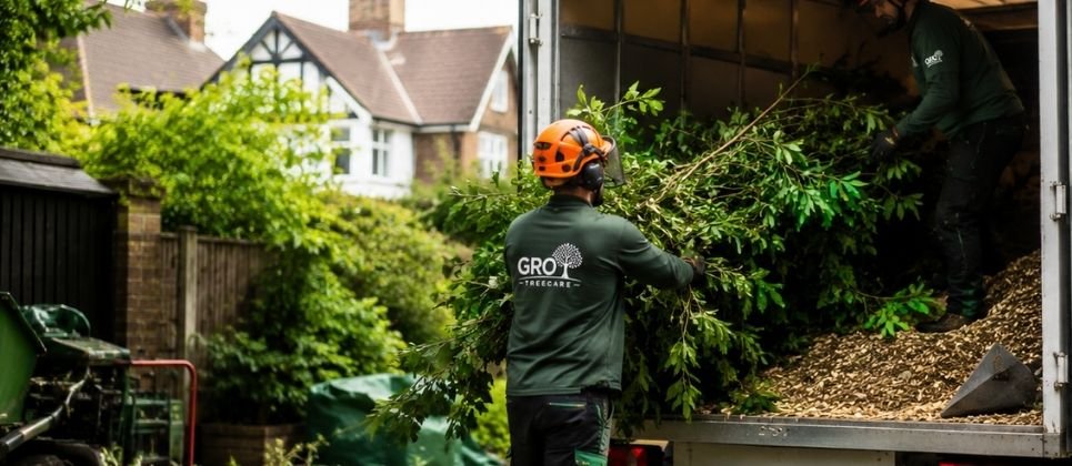 How Much Does Hedge Removal Cost in Great Harwood?