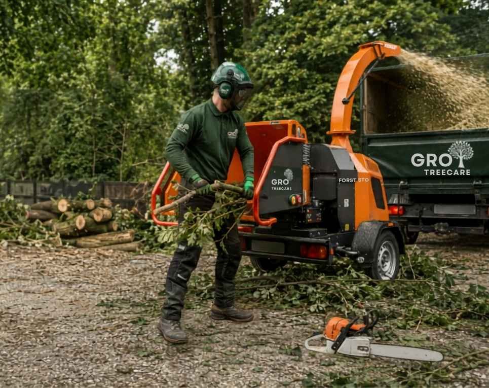 How Much Does Tree Stump Removal Cost In Tarleton?