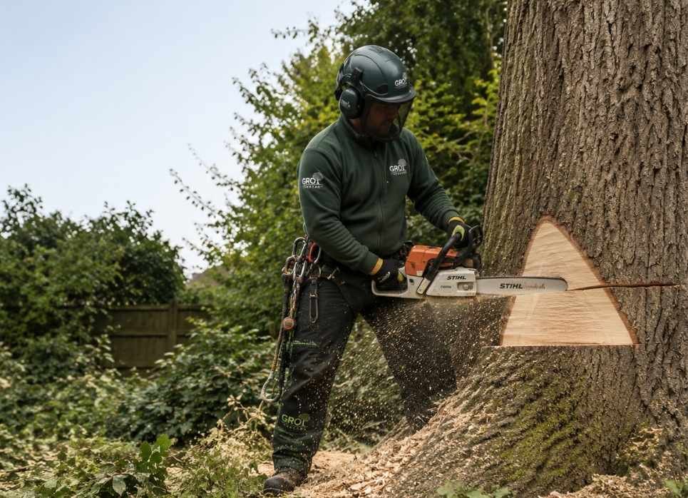 The Tree Surgery Services GRO Treecare Offers in Denton