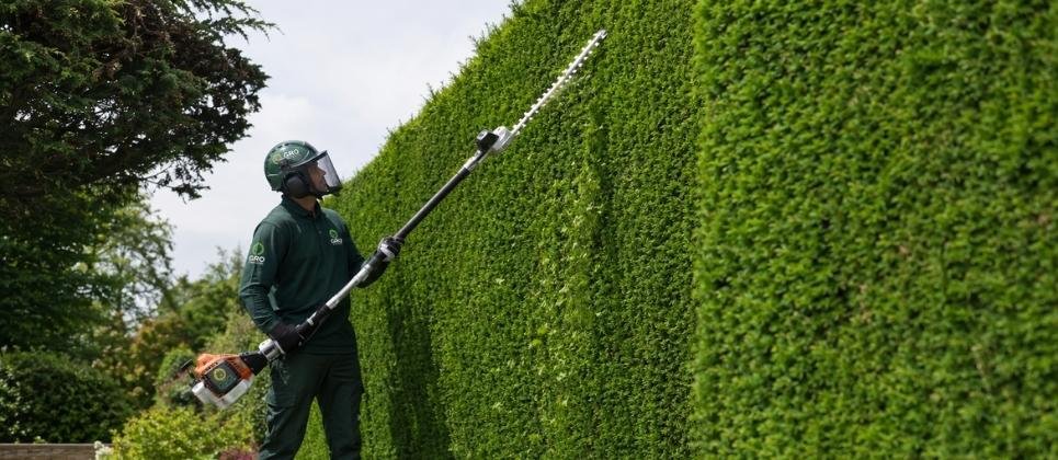 Why Regular Hedge Trimming Makes a Real Difference to Your Garden in Frodsham