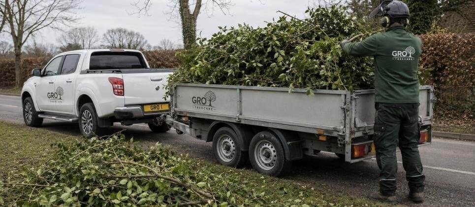 Hedge Removal Service Church