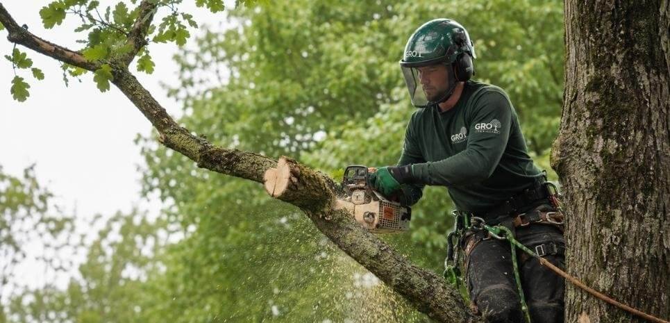 Tree Cutting Service in Nantwich
